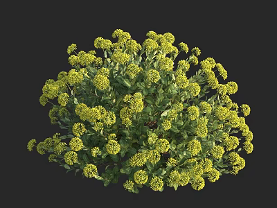 Vibrant Yellow Flowers with Green Leaves in Round Bush Shape Against Dark Background 3d model