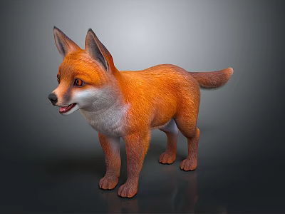 Cute Young Fox 3D Model With Orange Fur And White Chest Standing Pose 3d model
