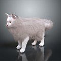 Modern Cat Kitten Flower Cat Domestic Cat 3d model