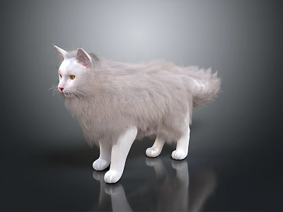 Fluffy White Cat Standing On Black Surface With Reflection 3d model Fluffy White Cat Standing On Black Surface With Reflection 3d model