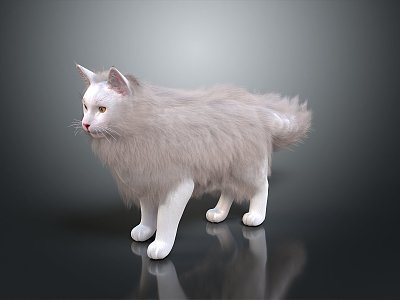 Modern Cat Kitten Flower Cat Domestic Cat 3d model