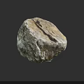 High Quality Natural Wood Stone With Rough Surface And Unique Texture