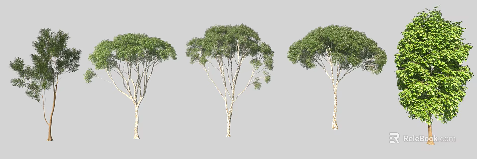 Three Arbors With White Trunks And Lush Green Foliage In Varied Shapes 3d model 