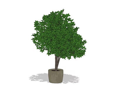 potted plant 3d model