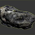 Natural Wooden Stone with Porous Surface Multicolor Texture and Shiny Reflective Finish