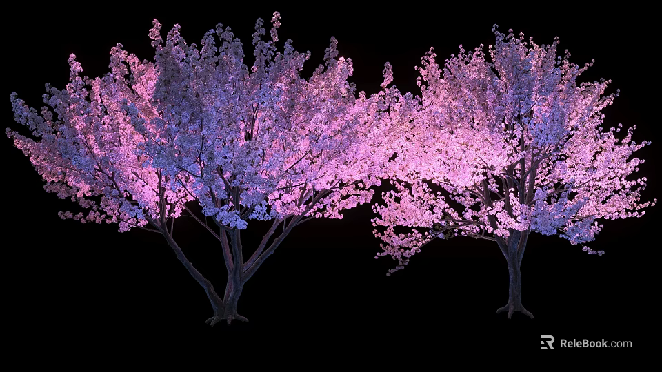 Tall Blossoming Flowering Trees with Lush Pink Blooms Against Black Background 3d model 