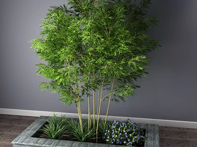 Green Bamboo Plant with Multiple Stems in Square Planter and Small Plants Indoors 3d model