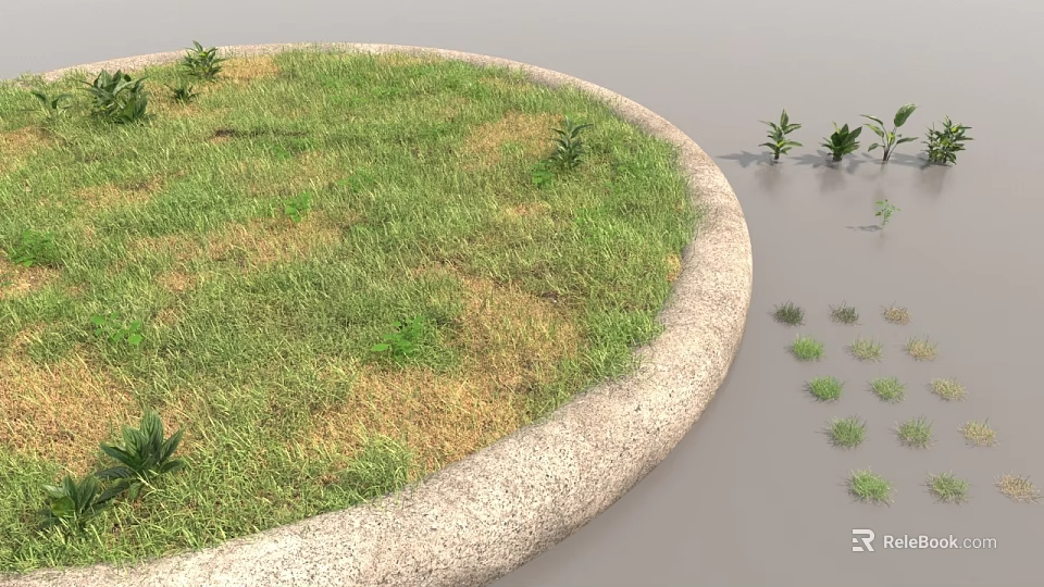 Circular Grass Area with Stone Edge and Small Plants Scattered Around 3d model 