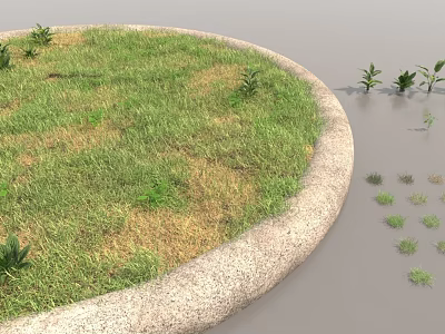 Circular Grass Area with Stone Edge and Small Plants Scattered Around 3d model