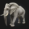3D Rendered Elephant Model With Gray Skin And White Tusks Standing On Black Background