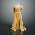 Man Wearing Yellow Long Dress With Puffed Sleeves And Cinched Waist On Black Background