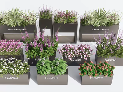 Modern Black Flower Planters With Various Colorful Flowers And Green Plants 3d model