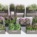 Modern Black Flower Planters With Various Colorful Flowers And Green Plants