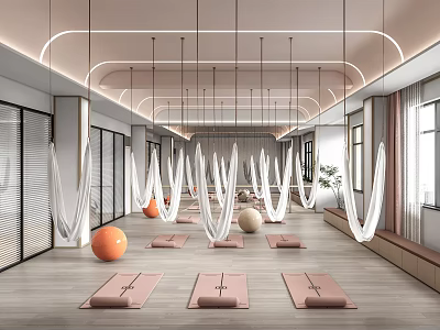 Modern Yoga Studio With Aerial Hammocks Yoga Mats And Orange Exercise Balls 3d model