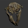 Realistic Detailed Animal Skull Skeleton Isolated On Dark Background With Reflection