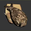 Lifelike Eagle Perched On Wooden Base With Detailed Feather Texture