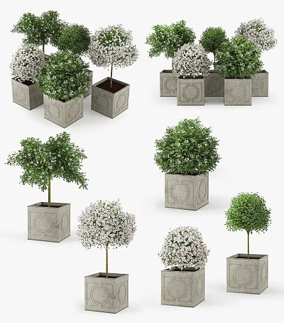Rounded And Tree Shaped Bonsai Plants In Square Stone Pots With White Blossoms 3d model