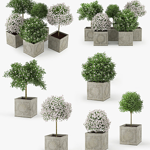 Modern Potted Outdoor Potted Plant 3d model