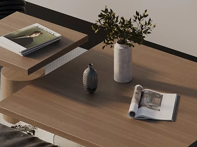 Sofa and Coffee Table Set with Magazines Vase and Green Plant in Modern Living Room 3d model