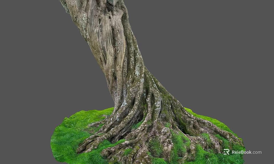 Tall Tree Trunk With Thick Roots And Lush Green Grass Around Base 3d model