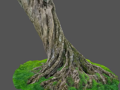 Tall Tree Trunk With Thick Roots And Lush Green Grass Around Base 3d model