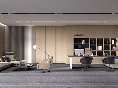 Modern Office Interior With Sofa Area Work Desk Wellness Bookshelf Floor Lamp And Gray Carpet 3d model