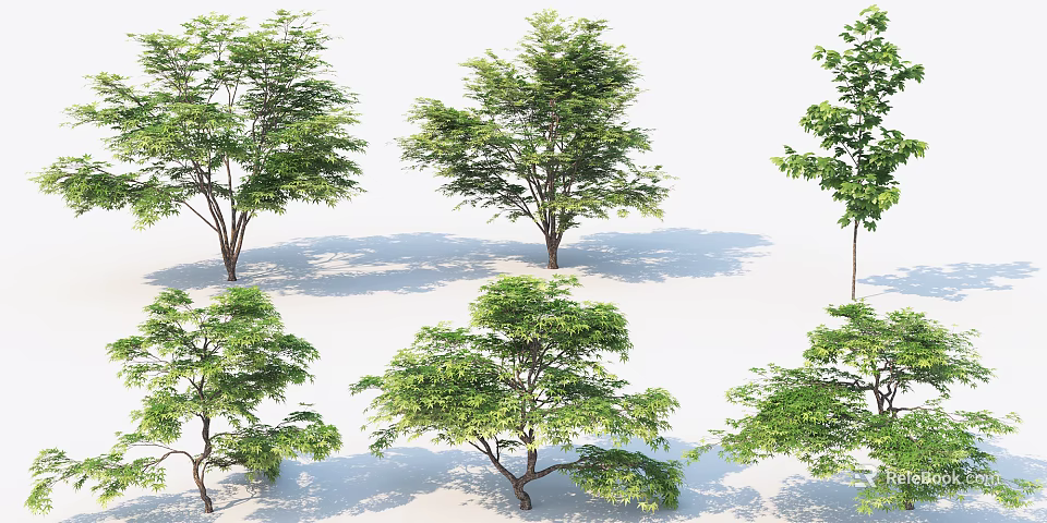 Multiple Green Leafy Arbors With Natural Trunks And Cast Shadows On White Background 3d model 