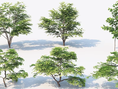 Multiple Green Leafy Arbors With Natural Trunks And Cast Shadows On White Background 3d model