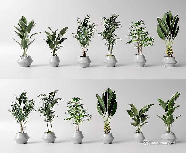 Various Types Of Bonsai Potted Green Plants In White Pots For Indoor Decoration 3d model 
