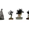 Various Decorative Bonsai Trees With Stone Shaped And Potted Designs 3d model