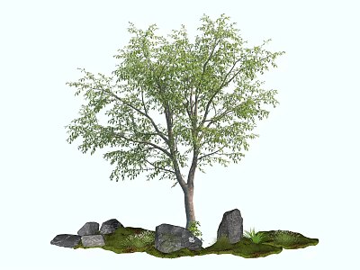Tall Arbor With Green Leaves Surrounded By Stones And Lush Grass 3d model