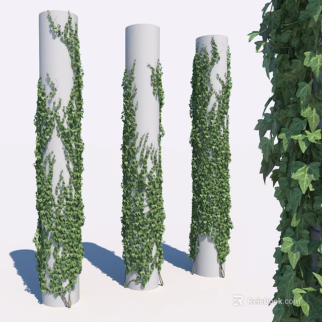 Lush Green Vines Climbing White Columns With Fresh Leaves 3d model 