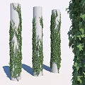 Lush Green Vines Climbing White Columns With Fresh Leaves