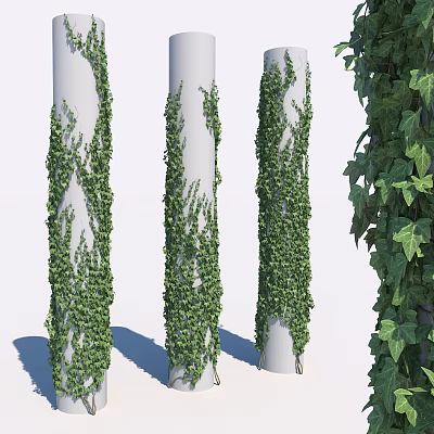 Lush Green Vines Climbing White Columns With Fresh Leaves 3d model