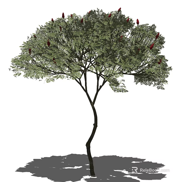 Lush Green Arbor With Curved Trunk And Red Fruits In Natural Environment 3d model 