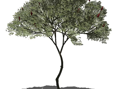 Lush Green Arbor With Curved Trunk And Red Fruits In Natural Environment 3d model