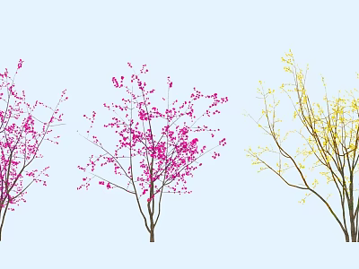 Beautiful Flowering Trees with Pink and Yellow Blossoms Against Light Blue Sky 3d model
