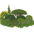 Various Lush Green Shrubs With Different Shapes Dense Foliage And Yellow Flowers