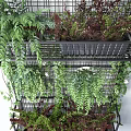 Living Plant Wall with Metal Grid Structure and Diverse Lush Green Foliage