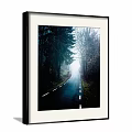 Misty Forest Road Landscape Painting with Winding Path Evergreen and Deciduous Trees White Center Lines