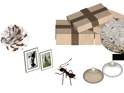 Decorative Ornament Set with Pine Cone Photo Frames Ant Figurine Wooden Boxes and Candle Holders 3d model
