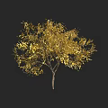 Golden Leaf Tree With Dense Foliage And Brown Trunk On Black Background 3d model
