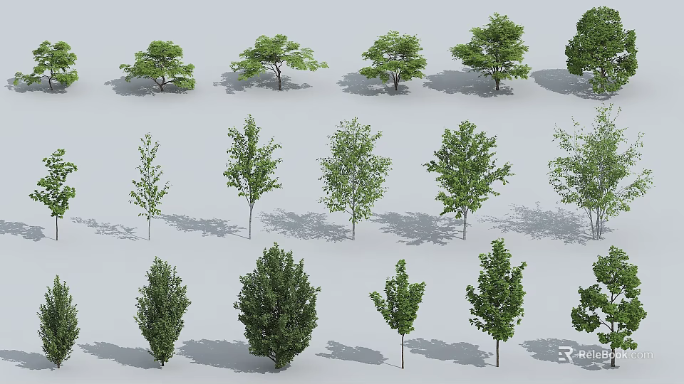 Various Arbor Trees Featuring Green Foliage and Different Natural Shapes 3d model