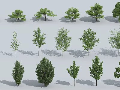 Various Arbor Trees Featuring Green Foliage and Different Natural Shapes 3d model