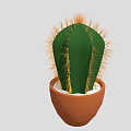 Green Cactus Plant with Yellow Spines in Brown Pot and White Pebbles