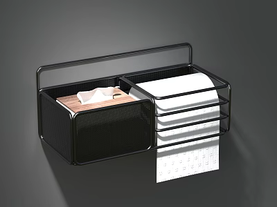 Black Wall Mounted Storage Shelf With Mesh Design For Tissue And Toilet Paper Rolls 3d model