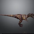 Colorful Tyrannosaurus Rex Dinosaur 3D Model With Standing Pose And Gray Background