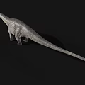 Lifelike 3D Sauropod Dinosaur Model With Long Neck Gray Skin On Black Background