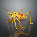 Vibrant Yellow Grasshopper With Red Wings On Dark Reflective Surface
