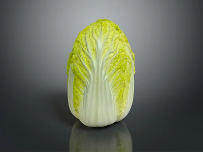 Fresh Chinese Cabbage With Green Leaves And White Stalk On Dark Background 3d model